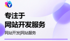 在线网站开发的服务定制